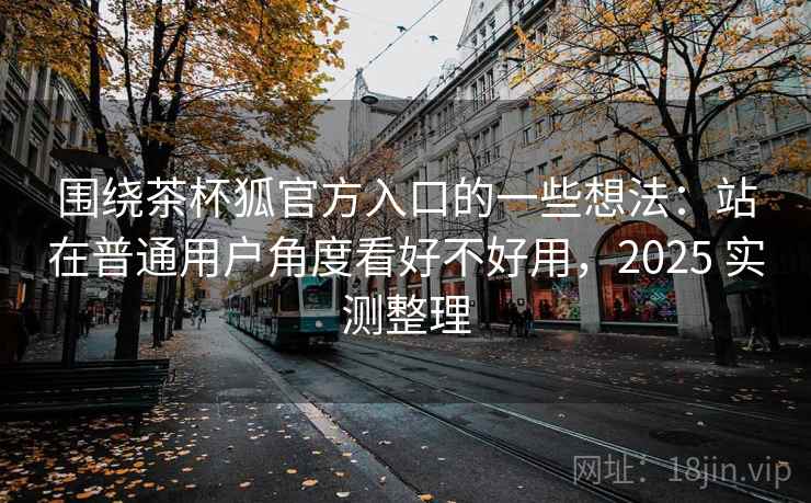 围绕茶杯狐官方入口的一些想法：站在普通用户角度看好不好用，2025 实测整理