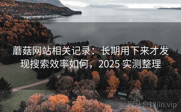 蘑菇网站相关记录：长期用下来才发现搜索效率如何，2025 实测整理