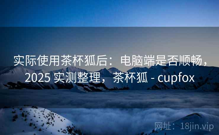 实际使用茶杯狐后：电脑端是否顺畅，2025 实测整理，茶杯狐 - cupfox