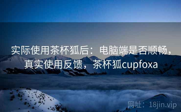 实际使用茶杯狐后：电脑端是否顺畅，真实使用反馈，茶杯狐cupfoxa