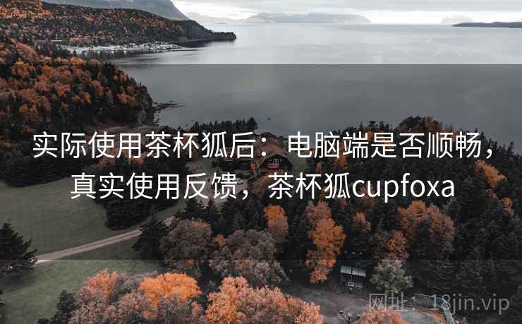 实际使用茶杯狐后：电脑端是否顺畅，真实使用反馈，茶杯狐cupfoxa