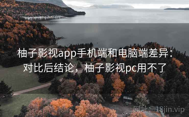 柚子影视app手机端和电脑端差异：对比后结论，柚子影视pc用不了
