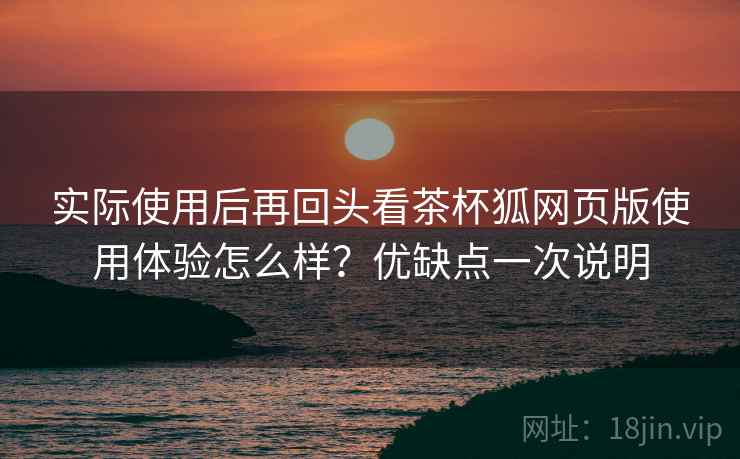 实际使用后再回头看茶杯狐网页版使用体验怎么样？优缺点一次说明