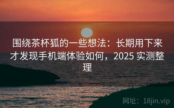 围绕茶杯狐的一些想法：长期用下来才发现手机端体验如何，2025 实测整理
