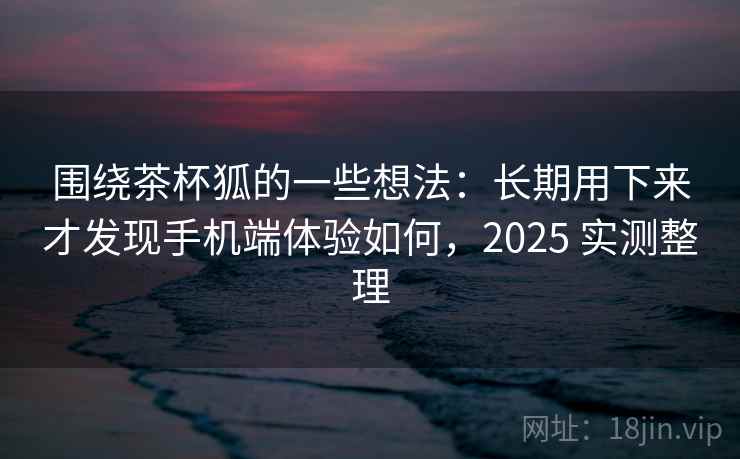 围绕茶杯狐的一些想法：长期用下来才发现手机端体验如何，2025 实测整理