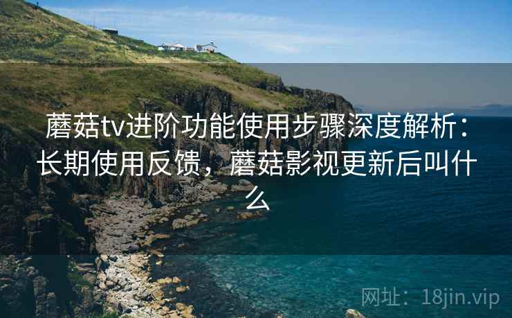 蘑菇tv进阶功能使用步骤深度解析：长期使用反馈，蘑菇影视更新后叫什么