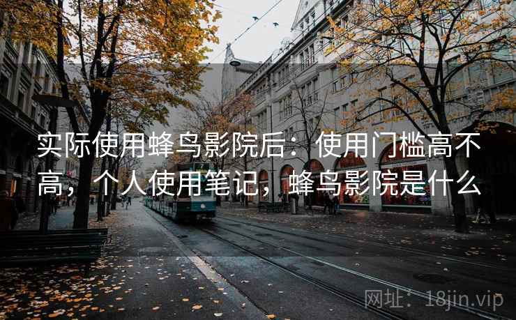 实际使用蜂鸟影院后：使用门槛高不高，个人使用笔记，蜂鸟影院是什么